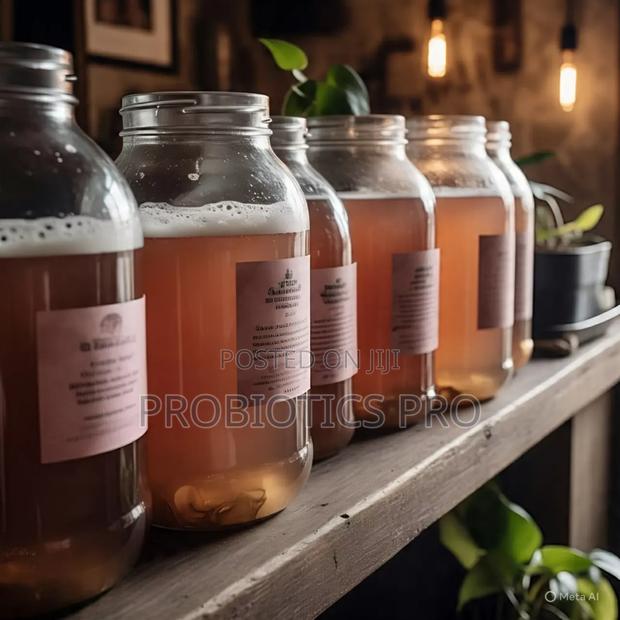 Kombucha Ready To Drink - thumbnail 5