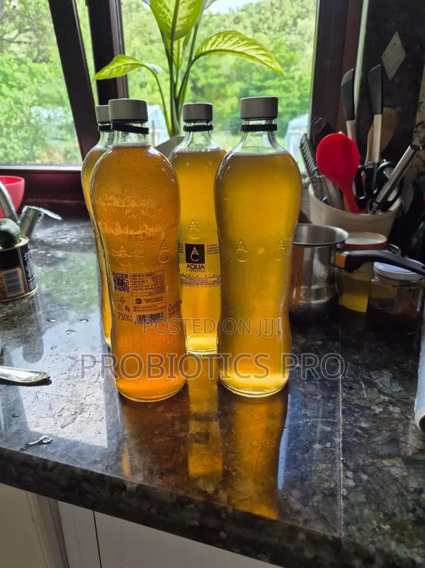 Kombucha Ready To Drink - thumbnail 6