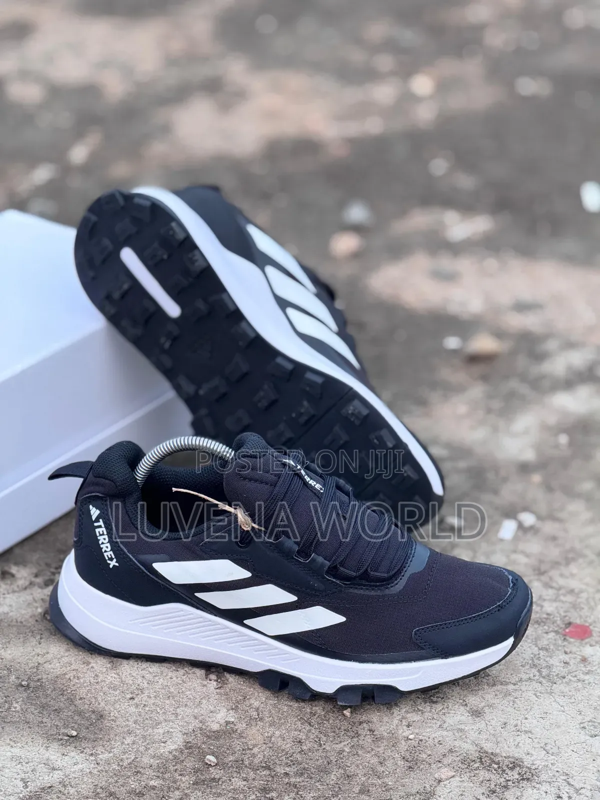 Jungle Green Addidas Terrex