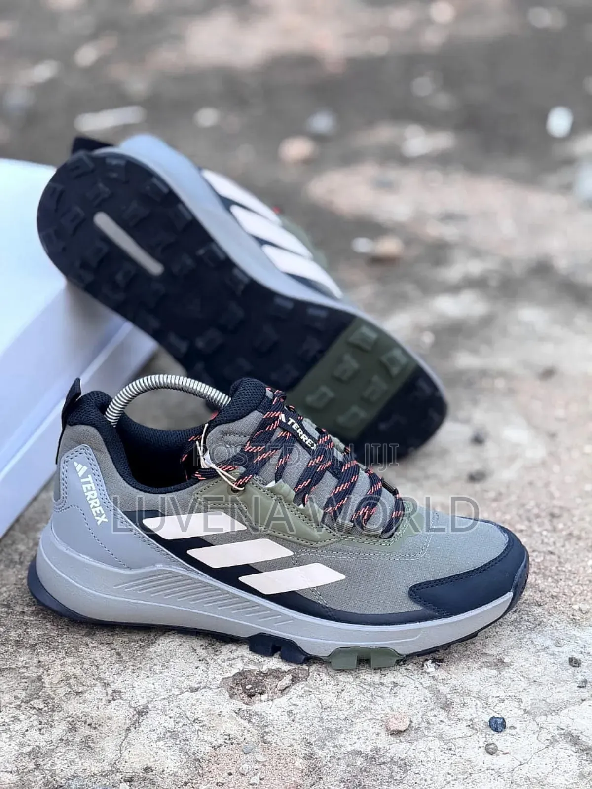 Jungle Green Addidas Terrex