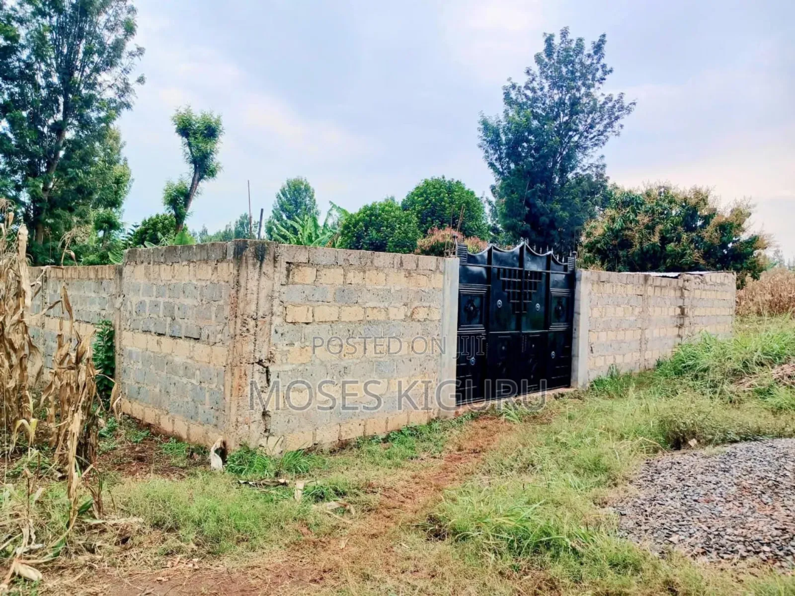 Mugutha 40x80 Plot With Perimeter Wall.