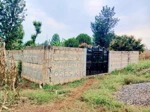 Mugutha 40x80 Plot With Perimeter Wall.