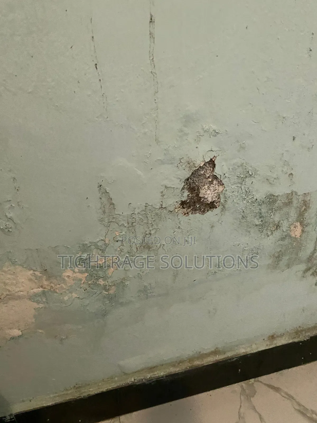 Damp-Rise Treatment – Stop Wall Dampness Peeling Paint!