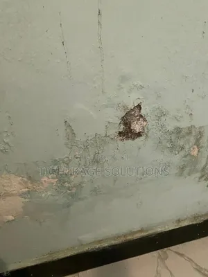 Damp-Rise Treatment – Stop Wall Dampness Peeling Paint!
