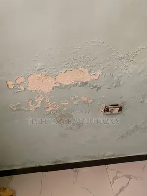 Damp-Rise Treatment – Stop Wall Dampness Peeling Paint!