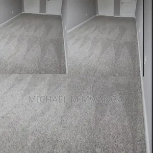 Luxurious Wall-to-Wall Carpet