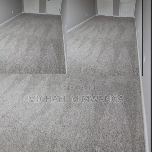 Luxurious Wall-to-Wall Carpet