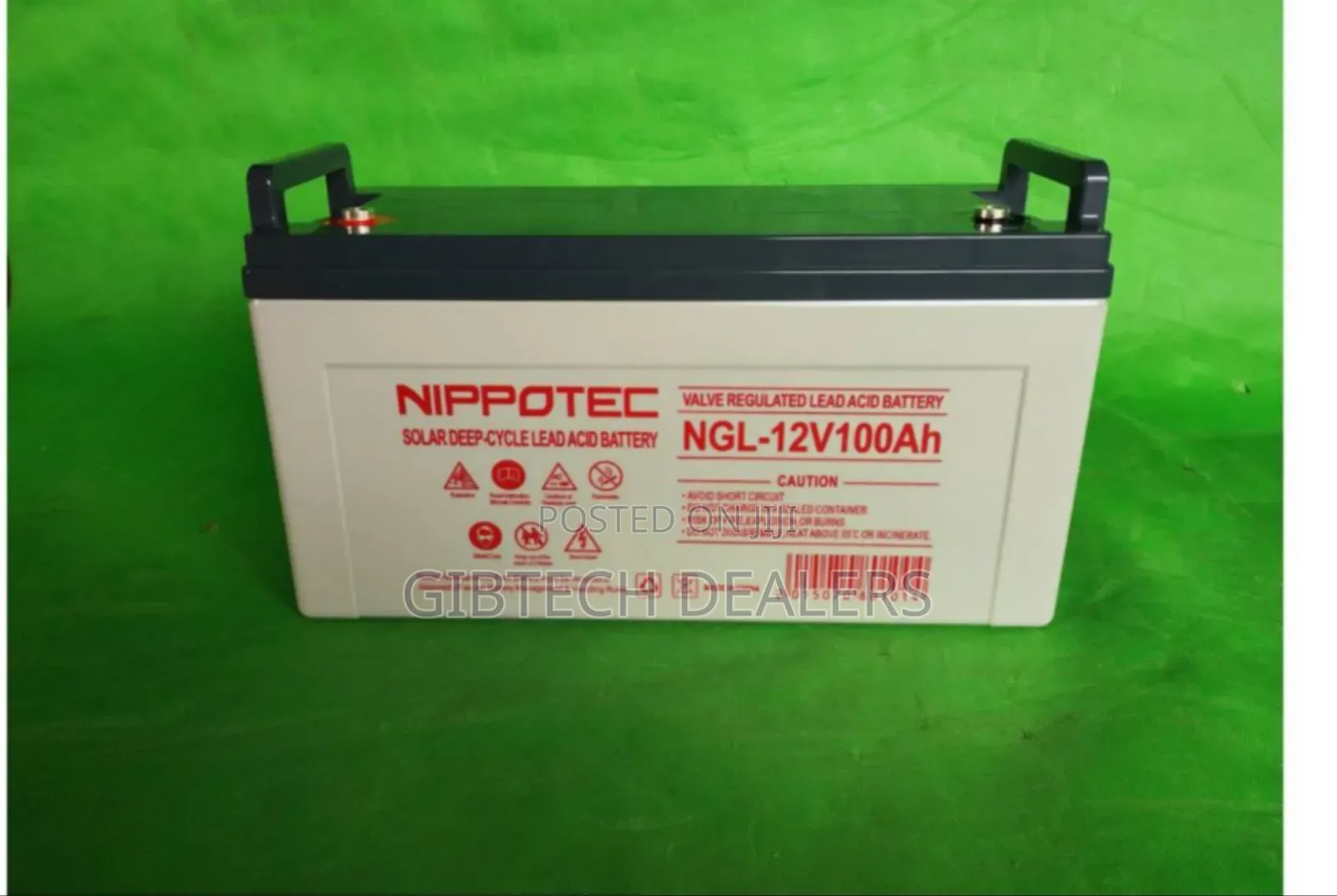 Nippotec 12v 100ah Battery