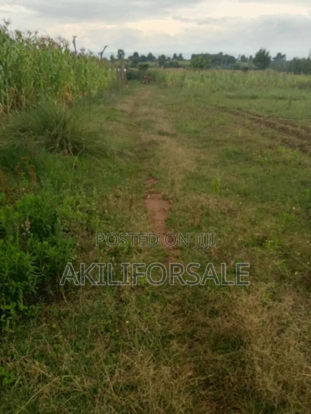 :Half an Acre. :Located in Nakuru, Njoro(Piave Centre) - thumbnail 2