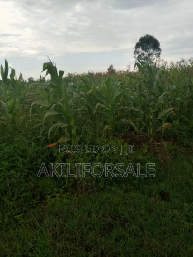 :Half an Acre. :Located in Nakuru, Njoro(Piave Centre) - thumbnail 3