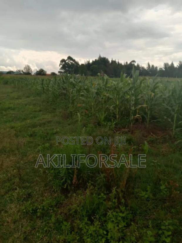 :Half an Acre. :Located in Nakuru, Njoro(Piave Centre) - thumbnail 4