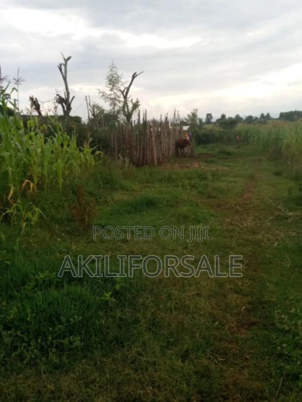 :Half an Acre. :Located in Nakuru, Njoro(Piave Centre) - thumbnail 5