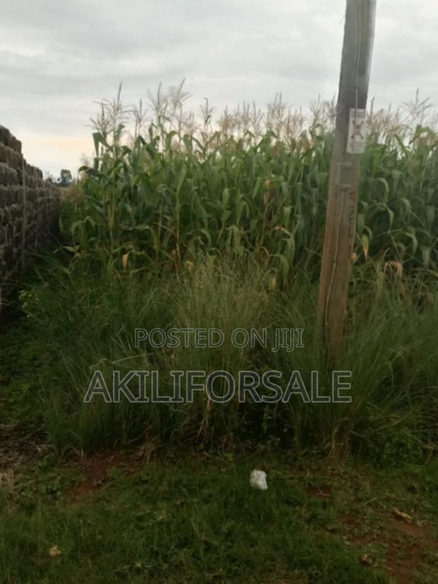 :Half an Acre. :Located in Nakuru, Njoro(Piave Centre) - thumbnail 6