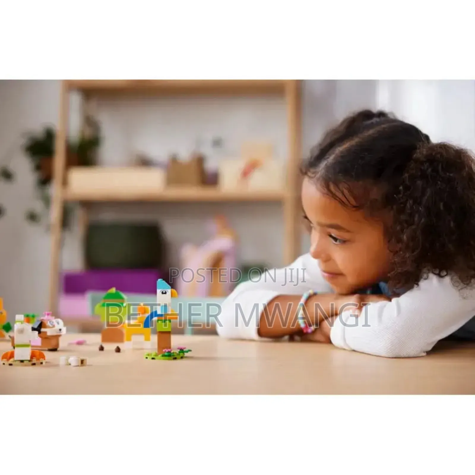 Lego 11034 - Classic Creative Pets in Kenya