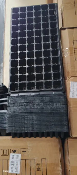 Biodegradable Tray