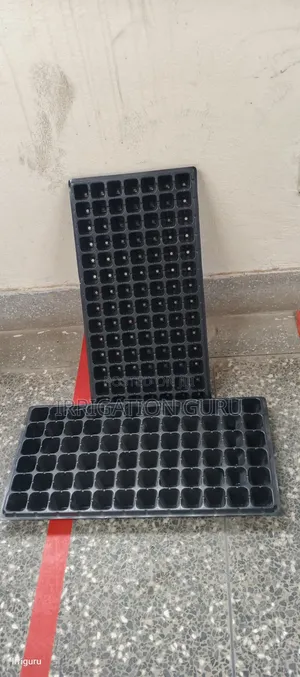 Coco Coir Tray