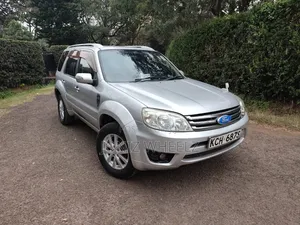 Ford Escape 2009 Silver