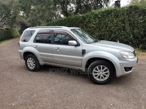Ford Escape 2009 Silver