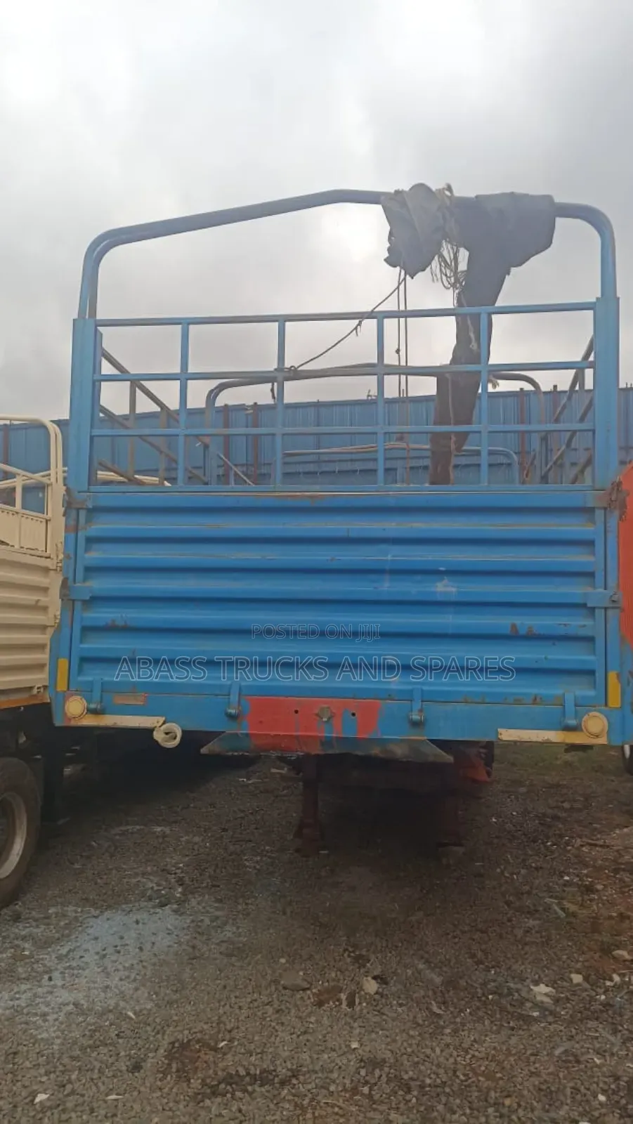 Heyseyseed Buchu Zg Sevi 2.3m Location Nairobi Abass
