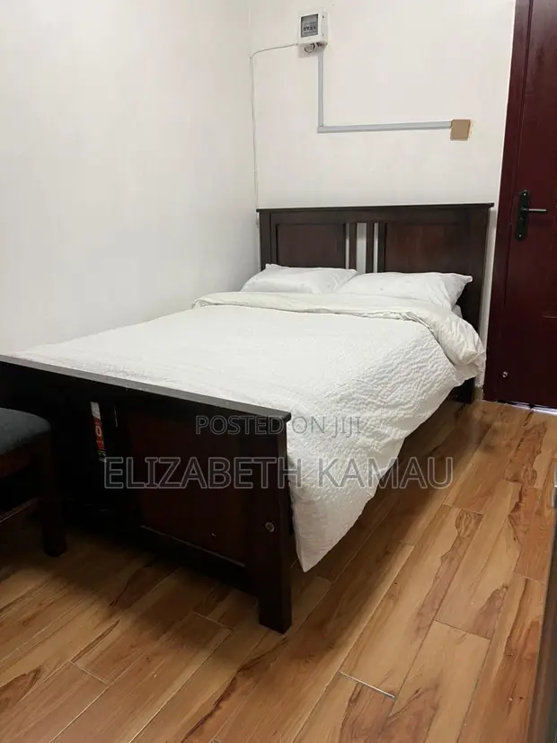 Furnished Studio Apartment in Kilimani for rent