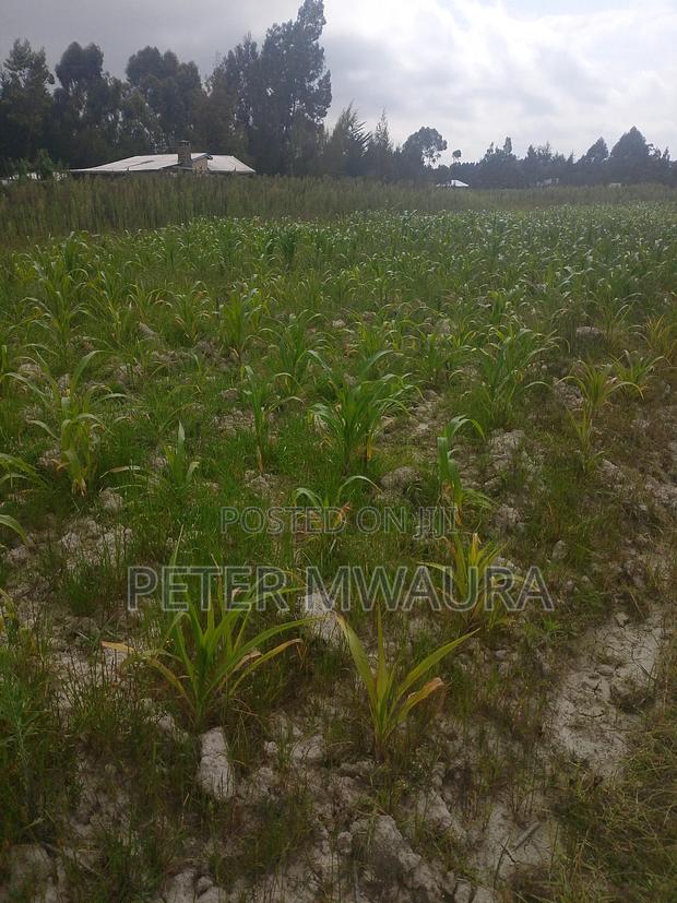 Land for Sale - thumbnail 3