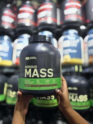 Serious Mass 6lbs 2.72kgs - main view