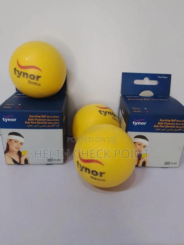 Exercising Ball (Neuro/Ortho) - thumbnail 3