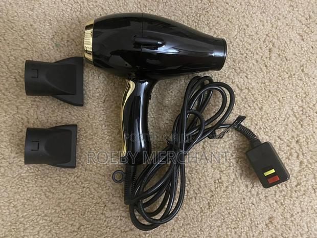 Electronic Hair Dryer - main view