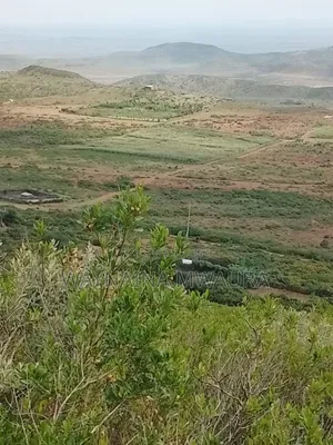 Prospective Blocks of Land, Ndeiya Kikuyu