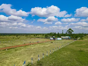 50 by 100 Residential Plots in Juja^Ma