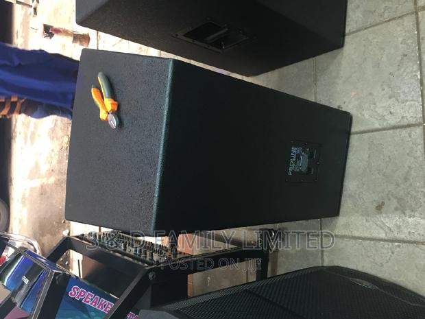 Proline Wooden Midrange Speaker 2500 Watts - thumbnail 2