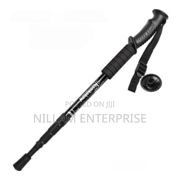 *Anti Shock Trekking Pole - main view