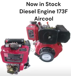 Nml Agricultural Air Cooled Diesel Engine 173f 7hp