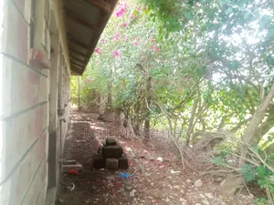 3bdrm Bungalow in Katani for rent