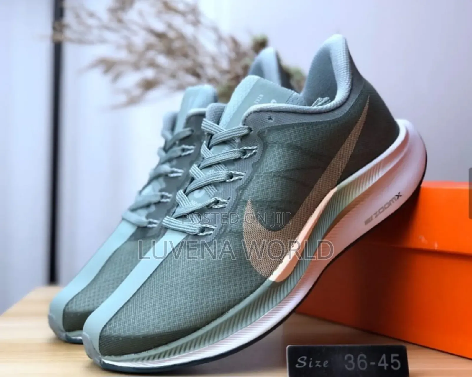 Zoom X Pegasus
