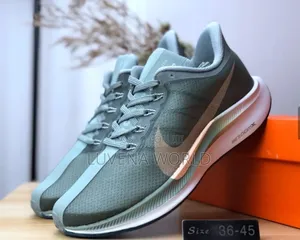 Zoom X Pegasus