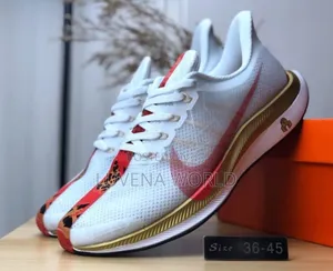 Zoom X Pegasus