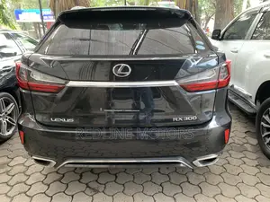 Lexus RX 300 2018 Matt Black