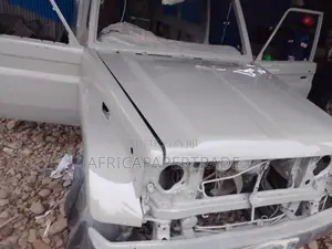 Toyota Land Cruiser 2002 Gray