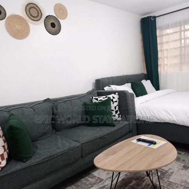 Studio Airbnb in Seasons Kasarani at 2000 - thumbnail 8