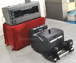 Yinghe 30cm A3 Size DTF Printer