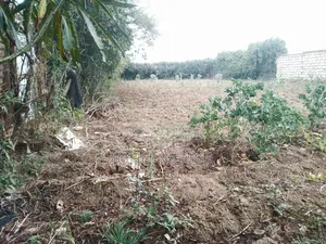 150ft by 60ft Kayole Plot for Sale.