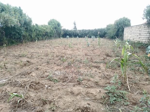 150ft by 60ft Kayole Plot for Sale. - thumbnail 2