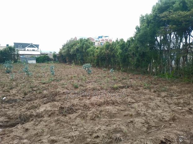 150ft by 60ft Kayole Plot for Sale. - thumbnail 13