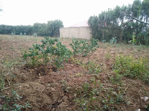 150ft by 60ft Kayole Plot for Sale. - thumbnail 16