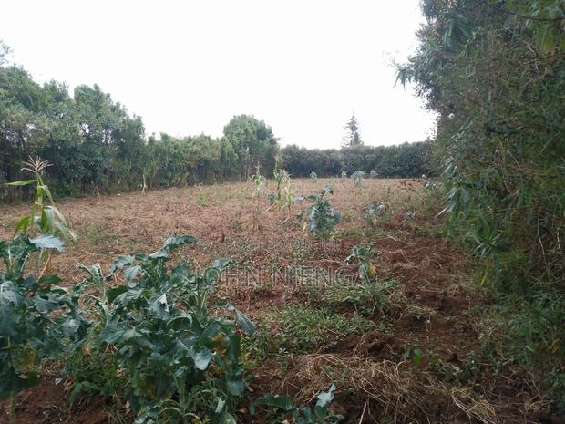 150ft by 60ft Kayole Plot for Sale. - thumbnail 17