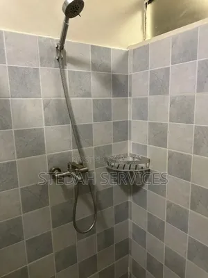 Shower Heads Replacement -Fix Replacements
