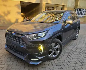 Toyota RAV4 Hybrid 2019 Gray