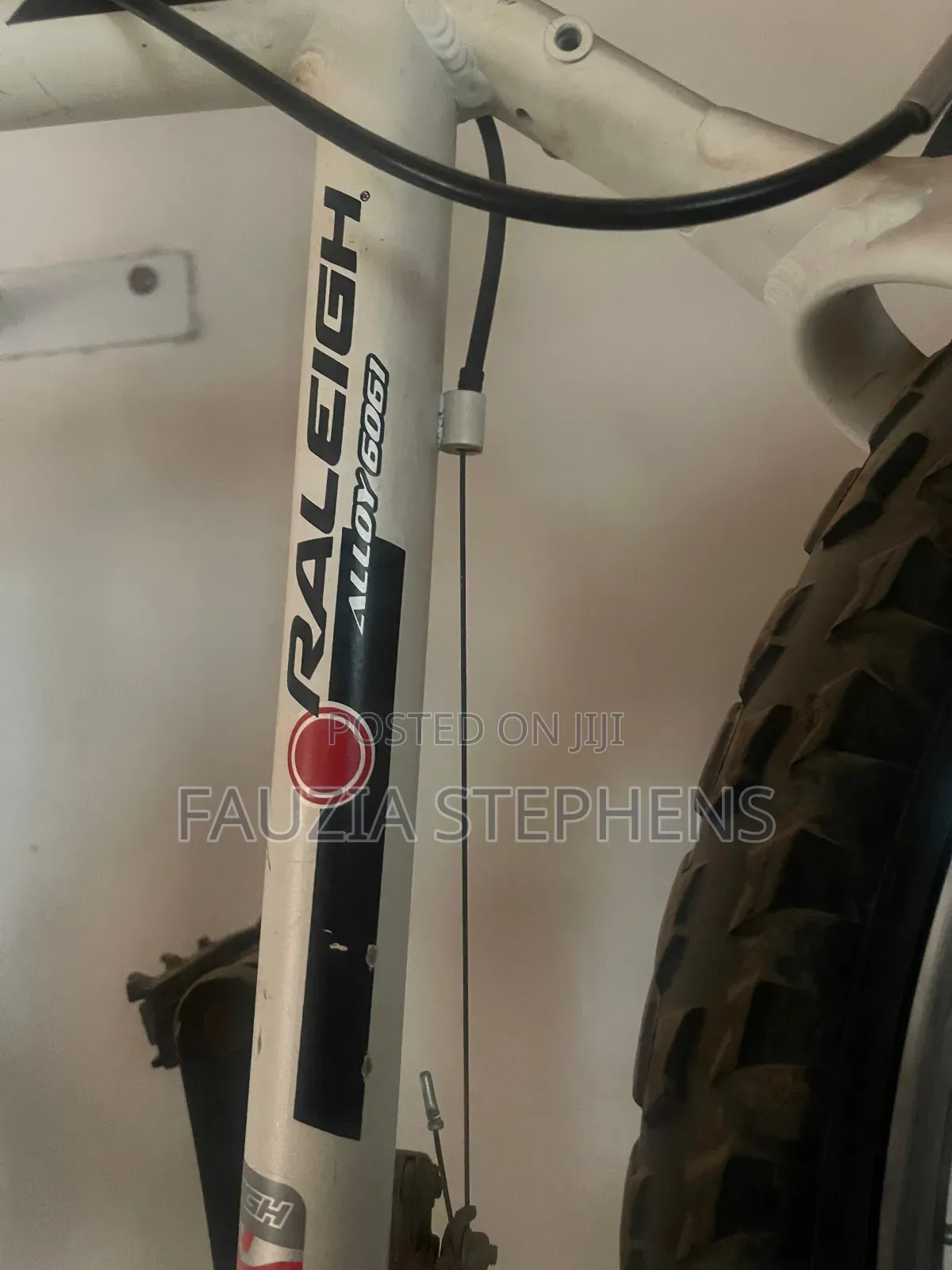 Raleigh Bicycle