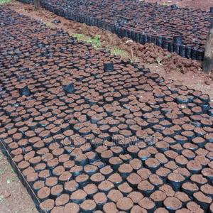 Seedling Pouches -planting Bags